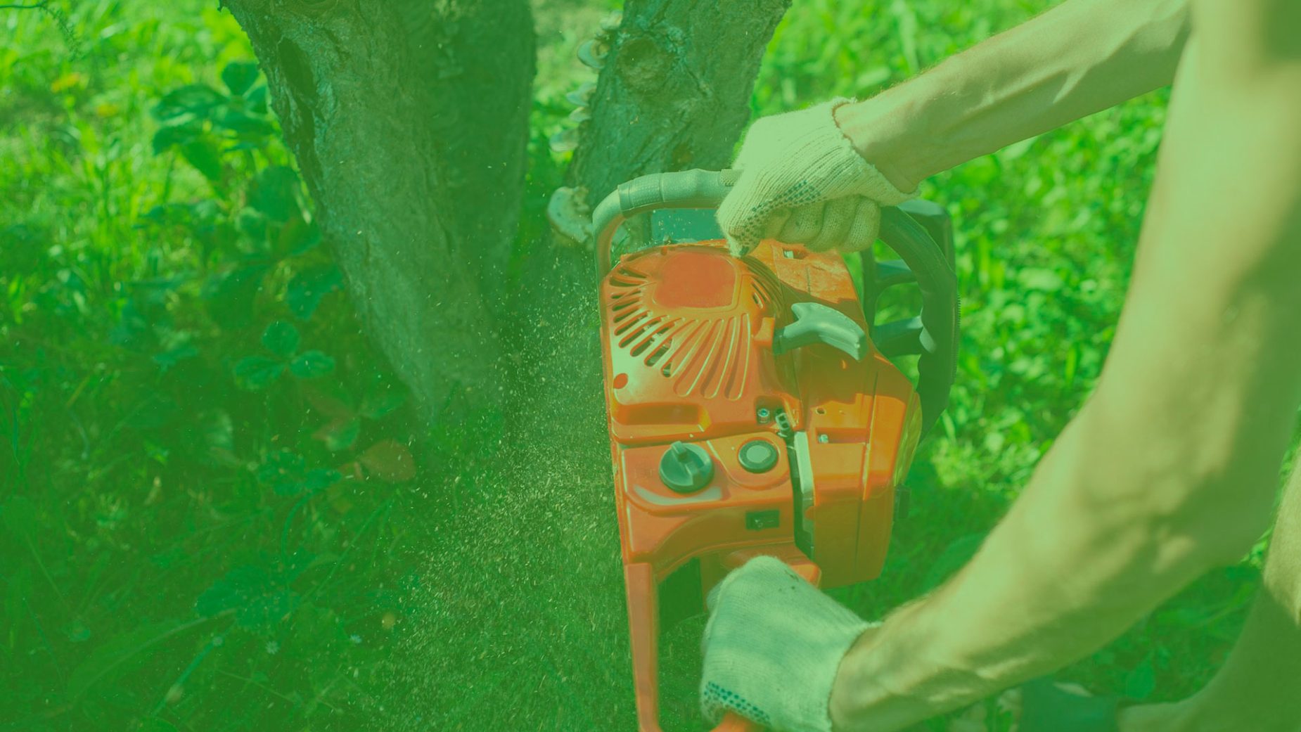 hero-about-willoughby-oh